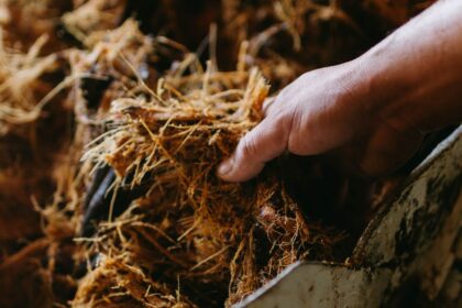 découvrez les fibres insolubles, essentielles pour une digestion saine et un bien-être optimal. apprenez comment elles contribuent à la santé de votre intestin, régulent votre transit et améliorent votre alimentation. explorez les sources alimentaires riches en fibres insolubles et les bienfaits qu'elles offrent dans votre quotidien.