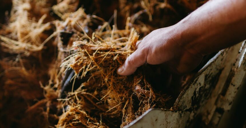 découvrez les fibres insolubles, essentielles pour une digestion saine et un bien-être optimal. apprenez comment elles contribuent à la santé de votre intestin, régulent votre transit et améliorent votre alimentation. explorez les sources alimentaires riches en fibres insolubles et les bienfaits qu'elles offrent dans votre quotidien.