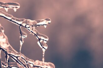 découvrez des conseils pratiques pour affronter le froid, des astuces pour rester au chaud, ainsi que les dernières tendances vestimentaires hivernales. préparez-vous à l'hiver avec style et confort!