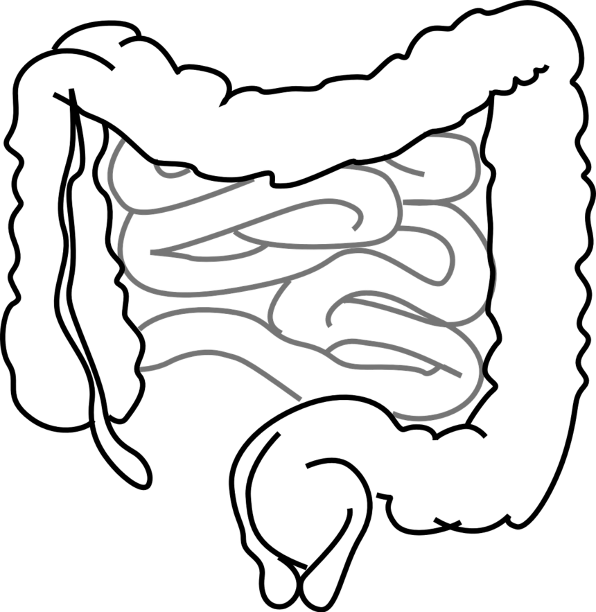 découvrez comment maintenir une santé digestive optimale grâce à des conseils pratiques, des aliments bénéfiques et des remèdes naturels. améliorez votre bien-être général et apprenez à écouter votre corps pour favoriser une digestion saine.