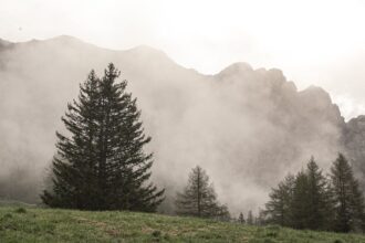 découvrez tout sur la gingivite sévère, y compris ses causes, symptômes et traitements. apprenez comment prévenir cette affection dentaire et maintenir une santé bucco-dentaire optimale.