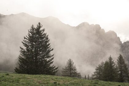 découvrez tout sur la gingivite sévère, y compris ses causes, symptômes et traitements. apprenez comment prévenir cette affection dentaire et maintenir une santé bucco-dentaire optimale.