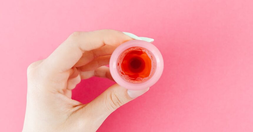 découvrez tout ce que vous devez savoir sur le mucus cervical : ses rôles, son importance dans le cycle menstruel, et comment il peut influencer la fertilité. informez-vous sur les différentes textures et couleurs du mucus cervical et ce qu'elles signifient pour votre santé reproductive.