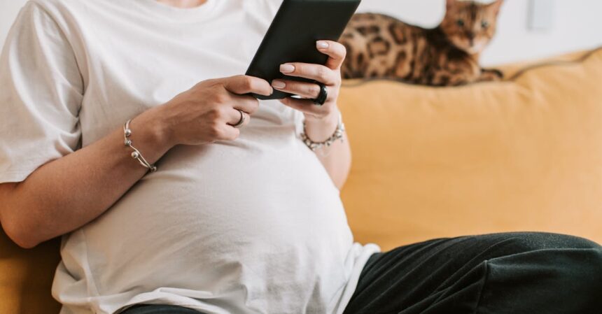 découvrez tout ce qu'il faut savoir sur la grossesse des chats : les étapes de la gestation, les soins à apporter à votre chatte enceinte et les signes à surveiller pour assurer une mise bas en toute sécurité.