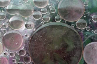 découvrez les bienfaits de l'huile de cynorrhodon, un élixir naturel riche en antioxydants et en acides gras essentielles, parfait pour hydrater, régénérer et revitaliser votre peau.