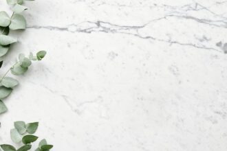 découvrez les bienfaits de l'eucalyptus, une plante aux propriétés exceptionnelles pour la santé. apprenez comment l'utiliser en aromathérapie, en infusion ou comme remède naturel pour ses vertus apaisantes et revitalisantes.
