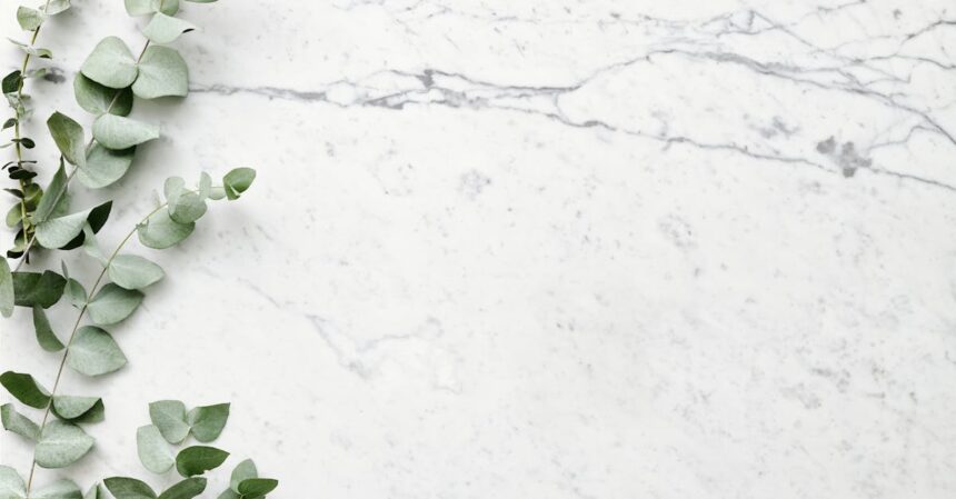 découvrez les bienfaits de l'eucalyptus, une plante aux propriétés exceptionnelles pour la santé. apprenez comment l'utiliser en aromathérapie, en infusion ou comme remède naturel pour ses vertus apaisantes et revitalisantes.