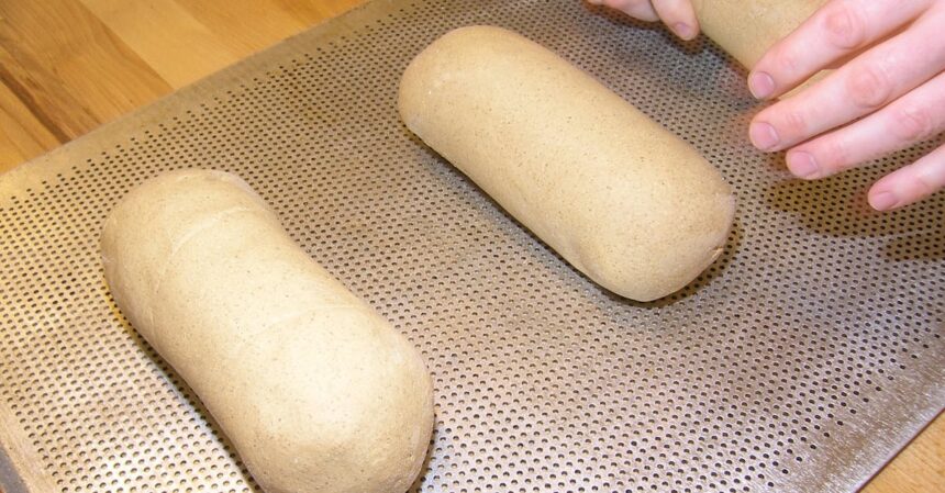 découvrez tout ce qu'il faut savoir sur l'intolérance au gluten : symptômes, diagnostic, conseils alimentaires et recettes sans gluten pour mener une vie saine et épanouie.