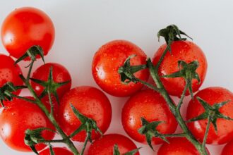 découvrez les bienfaits de la mélatonine, l'hormone du sommeil qui régule votre rythme circadien. apprenez comment elle peut améliorer la qualité de votre sommeil, réduire le stress et aider à lutter contre le décalage horaire. explorez des conseils pour une utilisation optimale et transformez vos nuits dès aujourd'hui.