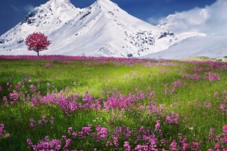 découvrez des techniques de relaxation efficaces pour apaiser votre esprit et votre corps. plongez dans un monde de sérénité et laissez le stress derrière vous grâce à nos conseils et exercices.