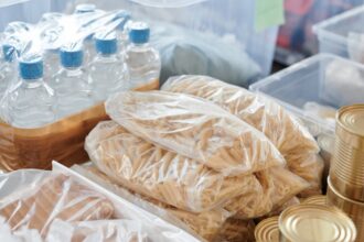 découvrez les enjeux de la sécurité alimentaire, ses impacts sur la santé, l'économie et l'environnement. apprenez comment garantir l'accès à une nourriture saine pour tous et les initiatives pour lutter contre la faim dans le monde.
