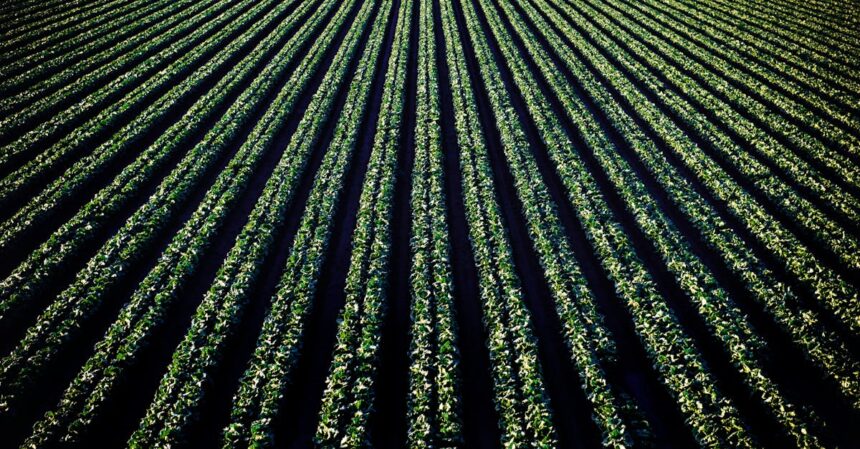 découvrez les bienfaits de l'irrigation nasale, une méthode naturelle pour soulager les congestions, améliorer la respiration et favoriser la santé des voies nasales. apprenez les techniques et produits pour une expérience apaisante et efficace.