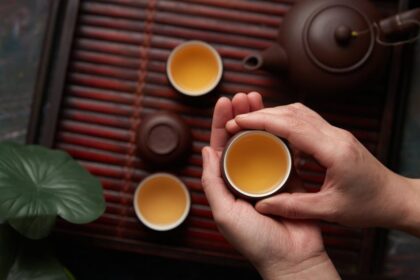 découvrez l'expérience relaxante des bains chauds japonais, un rituel apaisant mêlant tradition et bien-être, pour revitaliser votre corps et esprit dans un cadre zen.