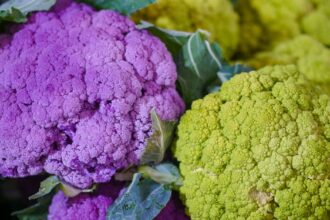 découvrez les bienfaits des légumes crucifères, une catégorie de légumes riches en nutriments et antioxydants. apprenez comment intégrer ces super-aliments dans votre alimentation pour améliorer votre santé globale.
