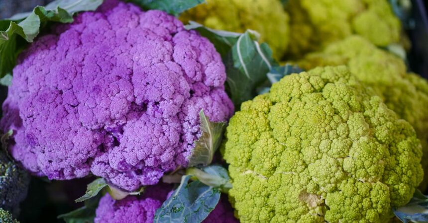 découvrez les bienfaits des légumes crucifères, une catégorie de légumes riches en nutriments et antioxydants. apprenez comment intégrer ces super-aliments dans votre alimentation pour améliorer votre santé globale.