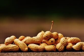 découvrez notre sélection variée de légumes frais et savoureux. apprenez à les cuisiner, à les choisir et à les intégrer dans vos plats quotidiens pour une alimentation saine et équilibrée.