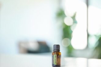 découvrez les acides gras essentiels, nutriments indispensables pour le bon fonctionnement de votre organisme. apprenez leur rôle, les sources alimentaires et les bienfaits sur la santé.