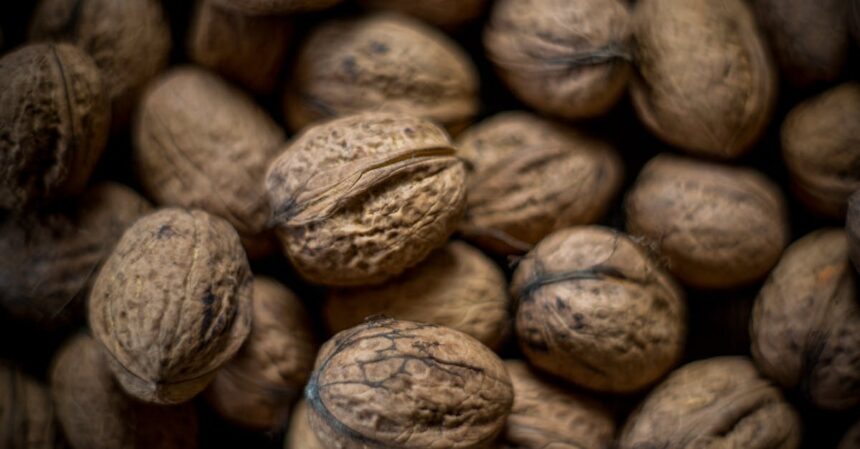 découvrez l'importance des acides gras essentiels pour votre santé. apprenez comment ces nutriments essentiels contribuent au bon fonctionnement de votre organisme, à vos niveaux d'énergie et à votre bien-être général.