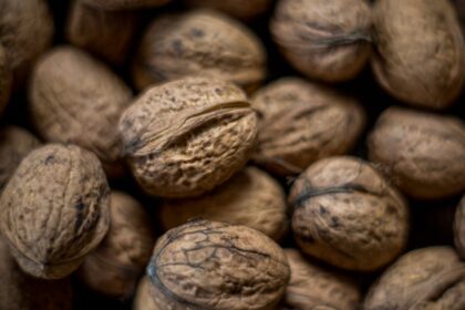 découvrez les bienfaits des acides gras polyinsaturés pour votre santé. apprenez comment ces graisses essentielles jouent un rôle crucial dans le maintien d'une bonne forme physique, en favorisant la santé cardiaque et en réduisant le risque de maladies chroniques. explorez les sources alimentaires riches en oméga-3 et oméga-6 et intégrez-les facilement dans votre alimentation quotidienne.