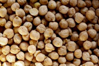 découvrez notre sélection d'aliments faibles en matières grasses, idéaux pour une alimentation saine et équilibrée. apprenez à savourer des recettes délicieuses sans culpabilité tout en préservant votre bien-être.