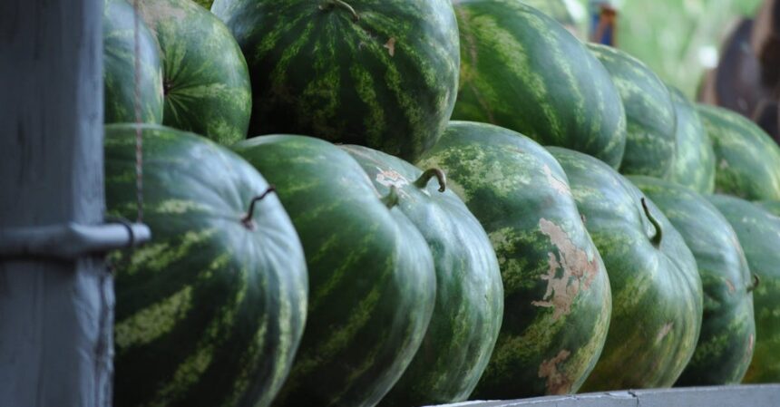 découvrez des aliments hydratants qui remplissent votre corps de bien-être ! apprenez quels fruits, légumes et autres options nutritives vous aident à rester bien hydraté tout au long de la journée.