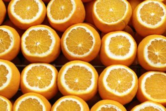 découvrez les aliments qui stimulent votre mémoire et améliorent vos capacités cognitives. explorez notre guide des meilleures options nutritionnelles pour soutenir votre cerveau au quotidien.