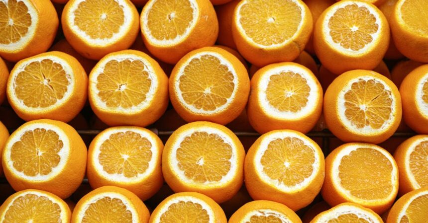 découvrez les aliments qui stimulent votre mémoire et améliorent vos capacités cognitives. explorez notre guide des meilleures options nutritionnelles pour soutenir votre cerveau au quotidien.