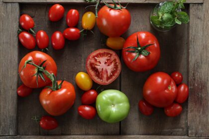 découvrez le pouvoir des antioxydants, des composés naturels essentiels pour combattre le stress oxydatif, préserver votre santé et booster votre bien-être. explorez leurs bienfaits, sources alimentaires et comment les intégrer facilement dans votre quotidien.