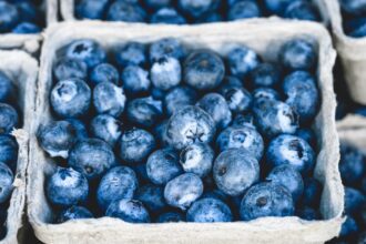 découvrez les bienfaits des antioxydants pour votre santé. apprenez comment ces composés nourrissent votre corps, luttent contre les radicaux libres et favorisent un vieillissement sain. explorez les aliments riches en antioxydants et intégrez-les à votre alimentation pour une vie plus dynamique.