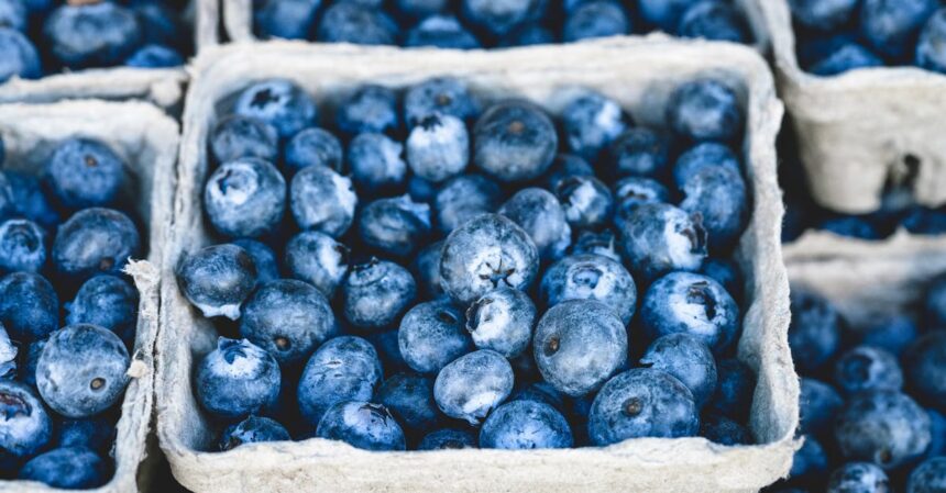 découvrez les bienfaits des antioxydants pour votre santé. apprenez comment ces composés nourrissent votre corps, luttent contre les radicaux libres et favorisent un vieillissement sain. explorez les aliments riches en antioxydants et intégrez-les à votre alimentation pour une vie plus dynamique.