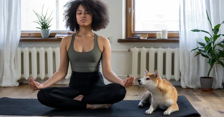 découvrez l'art de la respiration profonde : une méthode efficace pour réduire le stress, améliorer la concentration et favoriser la relaxation. apprenez des techniques simples pour intégrer cette pratique bénéfique dans votre quotidien.