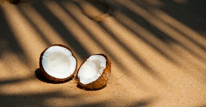 découvrez les bienfaits de l'huile de coco, un produit naturel aux multiples usages. que ce soit pour la cuisine, les soins de la peau ou des cheveux, l'huile de coco est un véritable allié santé et beauté. plongez dans le monde de ses propriétés nutritives et apprenez comment l'intégrer facilement dans votre quotidien.
