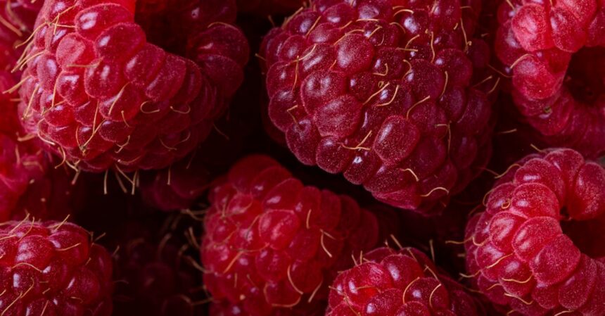 découvrez les nombreux bienfaits des aliments biologiques pour votre santé et votre bien-être. apprenez comment ces produits naturels peuvent améliorer votre nutrition, renforcer votre système immunitaire et réduire votre exposition aux pesticides. adoptez un mode de vie plus sain avec l'alimentation bio.