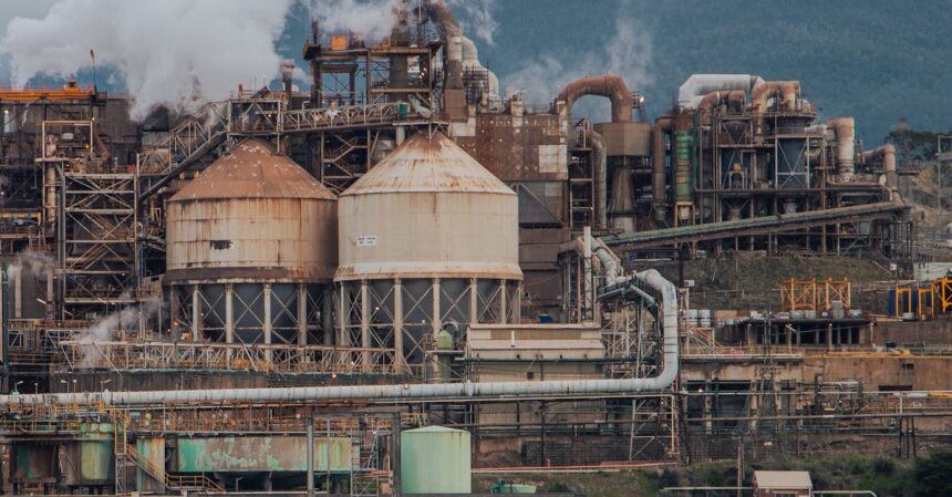 découvrez les bienfaits du zinc, un minéral essentiel pour votre santé. apprenez comment il contribue à renforcer votre système immunitaire, à favoriser la cicatrisation et à soutenir la santé de la peau. explorez des sources alimentaires riches en zinc et des conseils pour optimiser votre apport.