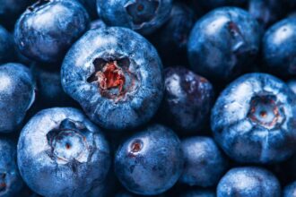 découvrez les bienfaits des antioxydants naturels pour votre santé. apprenez comment intégrer ces puissants alliés à votre alimentation pour lutter contre le stress oxydatif et favoriser un bien-être optimal.