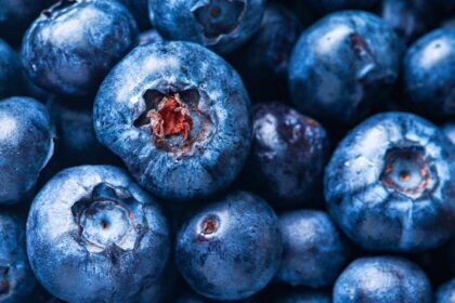 découvrez les bienfaits des antioxydants naturels pour votre santé. apprenez comment intégrer ces puissants alliés à votre alimentation pour lutter contre le stress oxydatif et favoriser un bien-être optimal.
