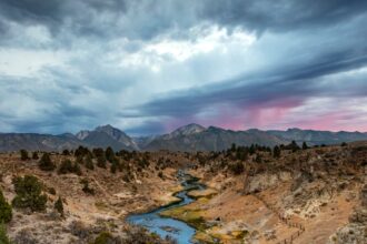 découvrez les bienfaits des bains de bouche naturels, respectueux de votre santé bucco-dentaire et de l'environnement. optez pour des solutions sans produits chimiques, aux ingrédients naturels pour un sourire éclatant et une haleine fraîche.