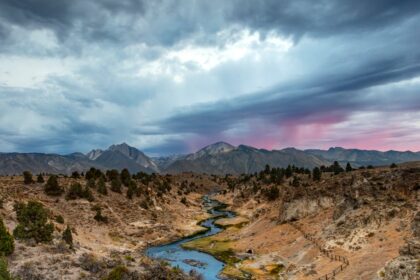 découvrez les bienfaits des bains de bouche naturels, respectueux de votre santé bucco-dentaire et de l'environnement. optez pour des solutions sans produits chimiques, aux ingrédients naturels pour un sourire éclatant et une haleine fraîche.