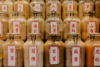 découvrez les bienfaits des compléments alimentaires à base de plantes pour améliorer votre bien-être. explorez notre sélection d'herbes naturelles et de formules adaptées à vos besoins santé.