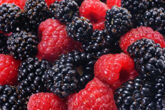 découvrez les nombreux bienfaits pour la santé qui peuvent améliorer votre bien-être physique et mental. apprenez comment une alimentation équilibrée, l'exercice régulier et des habitudes de vie saines peuvent favoriser votre vitalité et prolonger votre vie.