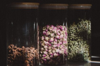 découvrez le monde apaisant des tisanes. nos infusions à base de plantes vous offrent une expérience unique, alliant bien-être et saveurs délicates. idéales pour se détendre ou revitaliser l'esprit, nos tisanes naturelles sont un véritable voyage sensoriel.