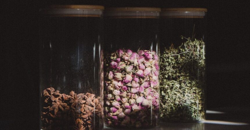 découvrez le monde apaisant des tisanes. nos infusions à base de plantes vous offrent une expérience unique, alliant bien-être et saveurs délicates. idéales pour se détendre ou revitaliser l'esprit, nos tisanes naturelles sont un véritable voyage sensoriel.