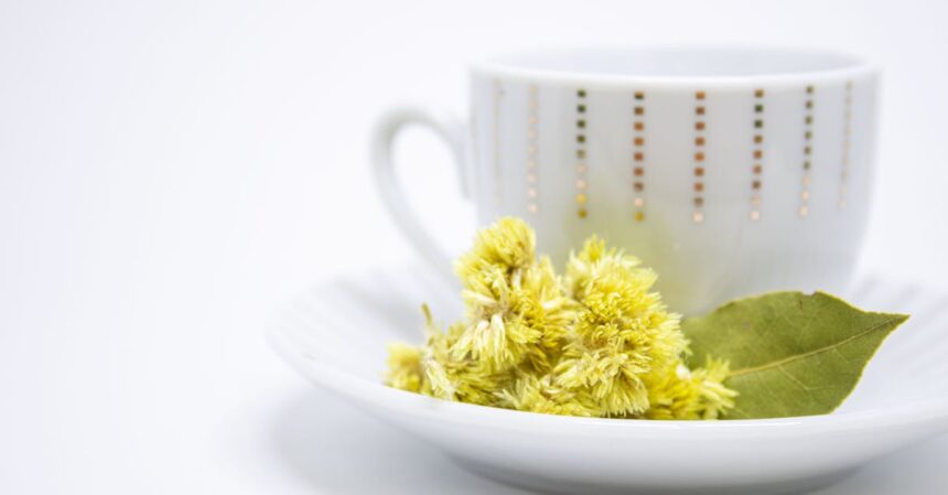 découvrez les bienfaits du thé de la feuille de laurier : des propriétés antioxydantes aux avantages pour la digestion, ce breuvage aromatique est un trésor de santé à intégrer dans votre quotidien.