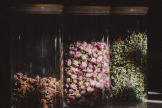 découvrez les bienfaits des tisanes aux herbes, des infusions naturelles idéales pour apaiser l'esprit, améliorer la digestion et renforcer votre bien-être. explorez notre sélection de mélanges aromatiques pour votre santé au quotidien.