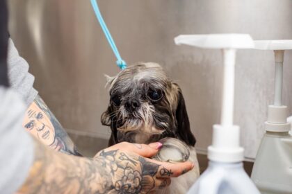 découvrez les bienfaits du bain de siège (sitz bath) pour soulager les douleurs et favoriser une meilleure hygiène intime. apprenez comment effectuer cette pratique simple et efficace pour votre bien-être.