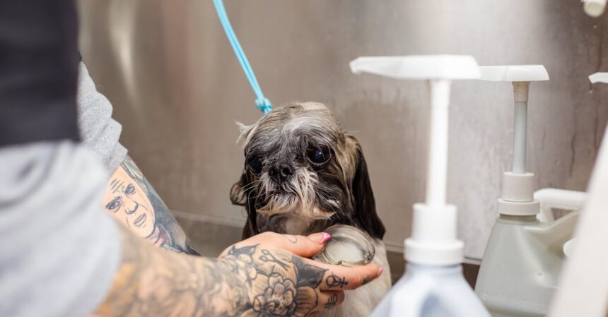 découvrez les bienfaits du bain de siège (sitz bath) pour soulager les douleurs et favoriser une meilleure hygiène intime. apprenez comment effectuer cette pratique simple et efficace pour votre bien-être.