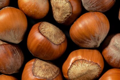 découvrez les bienfaits d'un régime alcalin pour votre santé et votre bien-être. apprenez comment équilibrer votre ph, améliorer votre digestion, augmenter votre énergie et renforcer votre système immunitaire grâce à une alimentation riche en fruits et légumes. transformez votre mode de vie avec des conseils pratiques et des recettes savoureuses.