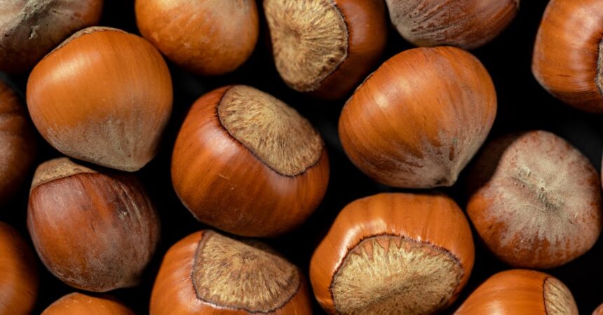 découvrez les bienfaits d'un régime alcalin pour votre santé et votre bien-être. apprenez comment équilibrer votre ph, améliorer votre digestion, augmenter votre énergie et renforcer votre système immunitaire grâce à une alimentation riche en fruits et légumes. transformez votre mode de vie avec des conseils pratiques et des recettes savoureuses.