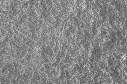 découvrez tout sur les fibres : leur importance pour la santé, les différents types de fibres alimentaires, et comment les intégrer efficacement dans votre régime. améliorez votre bien-être avec des conseils pratiques et des recettes savoureuses riches en fibres.