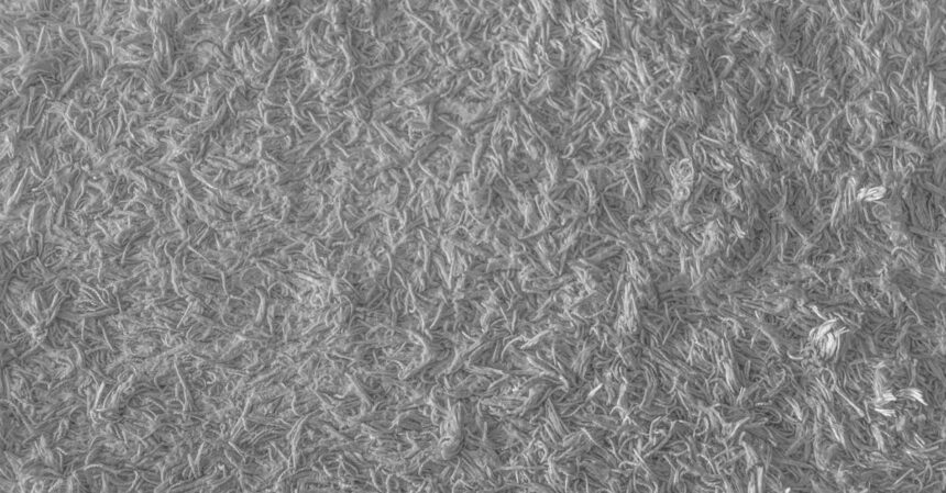 découvrez tout sur les fibres : leur importance pour la santé, les différents types de fibres alimentaires, et comment les intégrer efficacement dans votre régime. améliorez votre bien-être avec des conseils pratiques et des recettes savoureuses riches en fibres.